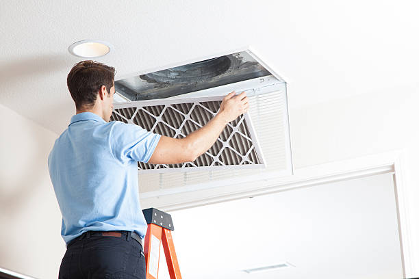 Best HVAC Air Duct Cleaning  in Dewitt, IA